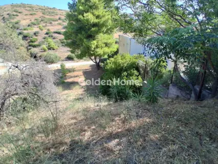 Οικιστικό 1180τ.μ. προς πώληση φωτογραφία 5596049