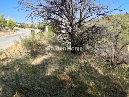 Οικιστικό 1180τ.μ. προς πώληση φωτογραφία 5596050
