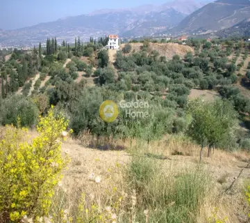 Residential 520m<sup>2</sup> for sale photo 1