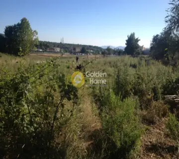 Αγροτεμάχιο 4000τ.μ. προς πώληση φωτογραφία 2