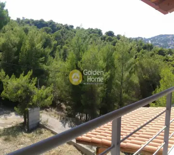 Μονοκατοικία 378τ.μ. προς πώληση φωτογραφία 20