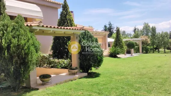 Golden Home Property Image