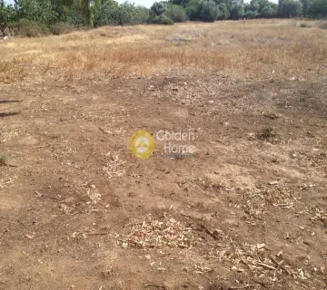 Parcel 5000m<sup>2</sup> for sale photo 3