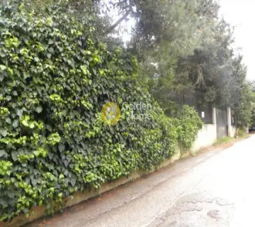 Οικιστικό 715τ.μ. προς πώληση φωτογραφία 3