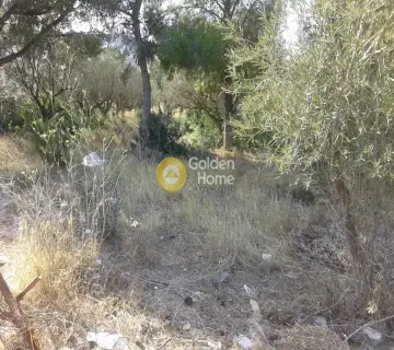 Αγροτεμάχιο 880τ.μ. προς πώληση φωτογραφία 2