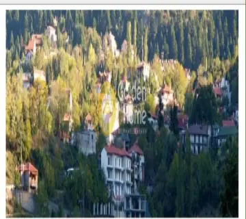 Golden Home Property Image