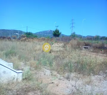 Parcel 6000m<sup>2</sup> for rent photo 4