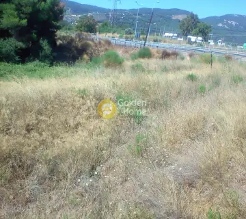 Parcel 6000m<sup>2</sup> for rent photo 11