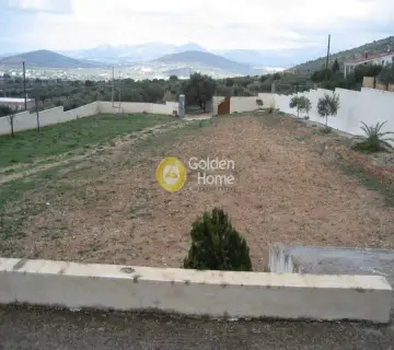 Οικιστικό 2150τ.μ. προς πώληση φωτογραφία 12
