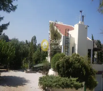 Μονοκατοικία 120τ.μ. προς πώληση φωτογραφία 1