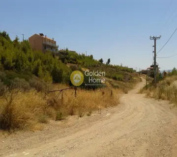 Οικιστικό 493τ.μ. προς πώληση φωτογραφία 1