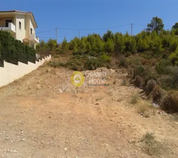 Οικιστικό 493τ.μ. προς πώληση φωτογραφία 3