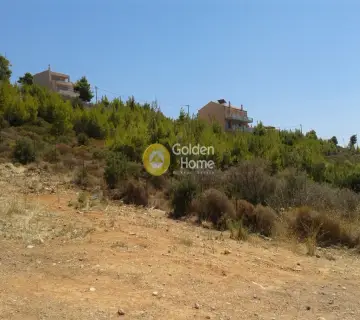Οικιστικό 493τ.μ. προς πώληση φωτογραφία 4