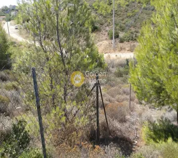 Οικιστικό 493τ.μ. προς πώληση φωτογραφία 6