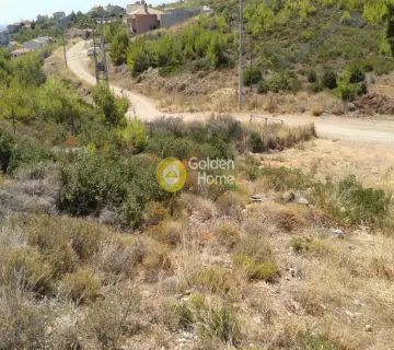 Οικιστικό 493τ.μ. προς πώληση φωτογραφία 8