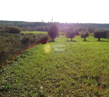 Residential 6000m<sup>2</sup> for sale photo 2