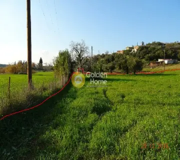 Residential 6000m<sup>2</sup> for sale photo 4
