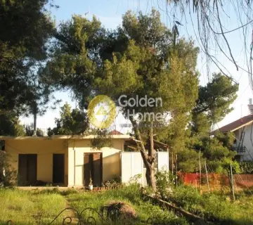 Οικιστικό 630τ.μ. προς πώληση φωτογραφία 3