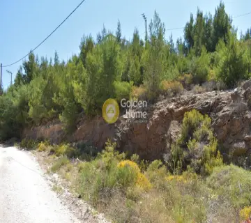 Οικιστικό 501τ.μ. προς πώληση φωτογραφία 2648109