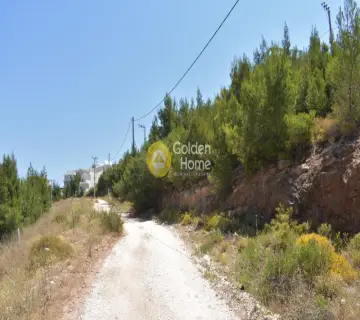 Οικιστικό 501τ.μ. προς πώληση φωτογραφία 2648109