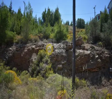 Golden Home Property Image