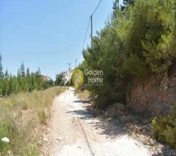 Οικιστικό 501τ.μ. προς πώληση φωτογραφία 2648111