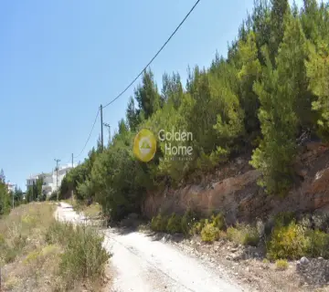 Οικιστικό 501τ.μ. προς πώληση φωτογραφία 2648112
