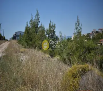 Οικιστικό 501τ.μ. προς πώληση φωτογραφία 2648114