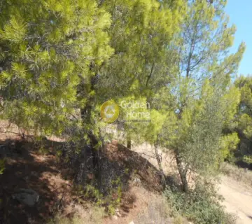 Area 1050m<sup>2</sup> for sale photo 7