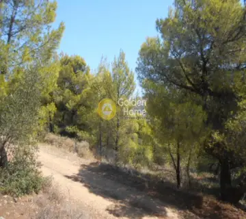 Area 1050m<sup>2</sup> for sale photo 8