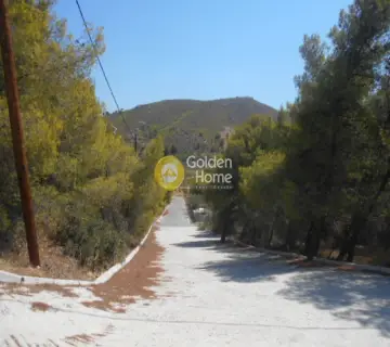 Area 1050m<sup>2</sup> for sale photo 15