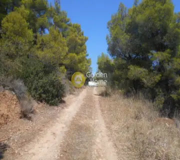Area 1050m<sup>2</sup> for sale photo 18