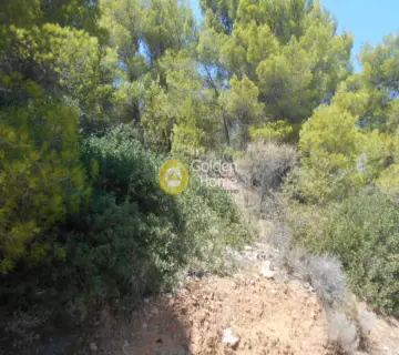 Area 1050m<sup>2</sup> for sale photo 19