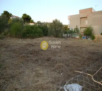 Residential 630m<sup>2</sup> for sale photo 3