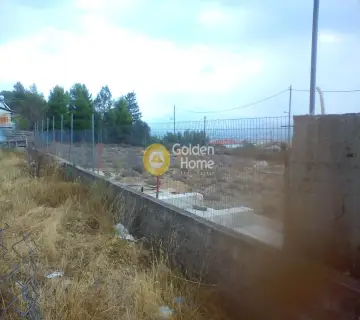 Parcel 1800m<sup>2</sup> for sale photo 7
