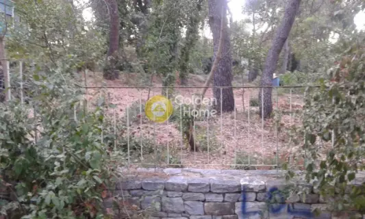 Residential 2500m<sup>2</sup> for sale photo 33