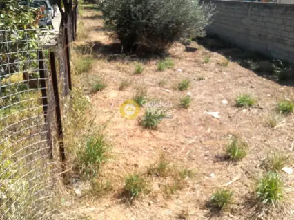 Professional Plot 750m<sup>2</sup> for sale photo 4