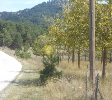 Parcel 5000m<sup>2</sup> for sale photo 3