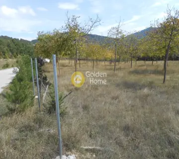 Parcel 5000m<sup>2</sup> for sale photo 5