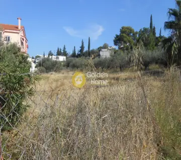 Residential 2130m<sup>2</sup> for sale photo 3