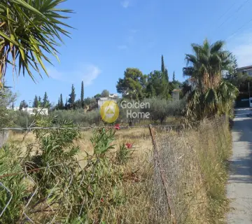 Residential 2130m<sup>2</sup> for sale photo 2