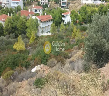Οικιστικό 500τ.μ. προς πώληση φωτογραφία 8