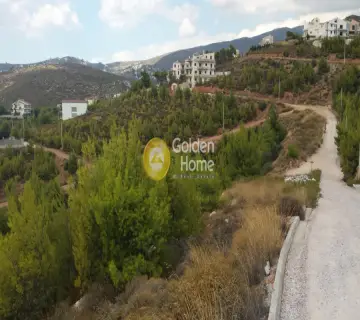 Golden Home Property Image