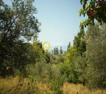Residential 1900m<sup>2</sup> for sale photo 1