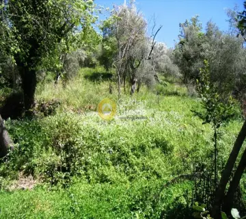 Residential 1900m<sup>2</sup> for sale photo 11