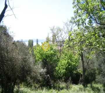 Residential 1900m<sup>2</sup> for sale photo 14