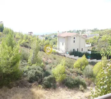 House 325m<sup>2</sup> for sale photo 50
