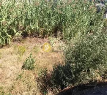 Οικιστικό 833τ.μ. προς ενοικίαση φωτογραφία 4