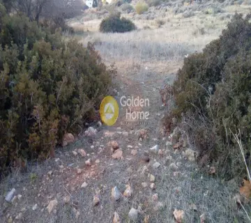 Οικιστικό 300τ.μ. προς πώληση φωτογραφία 1