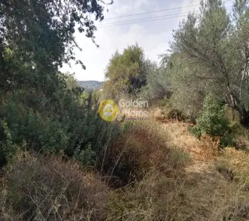 Residential 430m<sup>2</sup> for sale photo 4